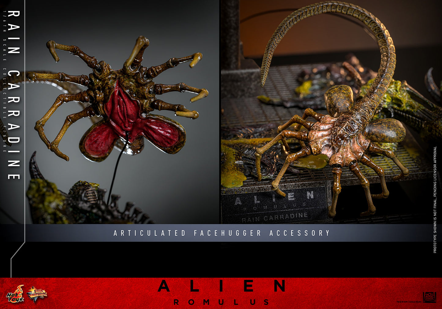 (Preorder) Hot Toys MMS793 Alien: Romulus [Rain Carradine] 1/6 Scale Collectible Figure