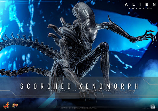 (Preorder) Hot Toys MMS784 Alien: Romulus [Scorched Xenomorph] 1/6th Scale Collectible Figure