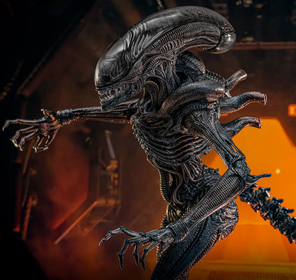 (Preorder) Hot Toys MMS784 Alien: Romulus [Scorched Xenomorph] 1/6th Scale Collectible Figure
