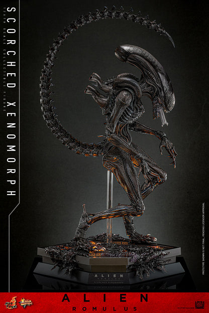 (Preorder) Hot Toys MMS784 Alien: Romulus [Scorched Xenomorph] 1/6th Scale Collectible Figure