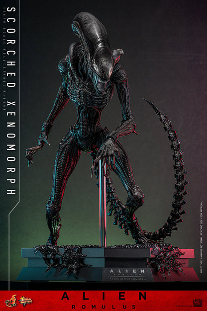 (Preorder) Hot Toys MMS784 Alien: Romulus [Scorched Xenomorph] 1/6th Scale Collectible Figure