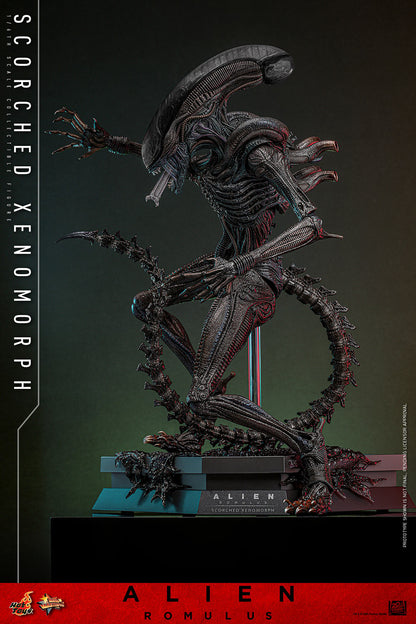 (Preorder) Hot Toys MMS784 Alien: Romulus [Scorched Xenomorph] 1/6th Scale Collectible Figure