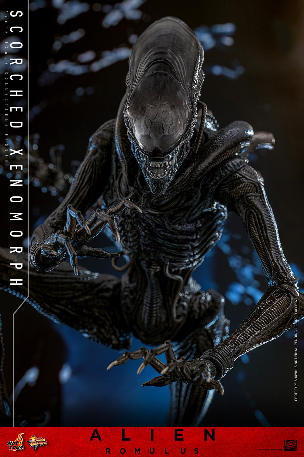 (Preorder) Hot Toys MMS784 Alien: Romulus [Scorched Xenomorph] 1/6th Scale Collectible Figure