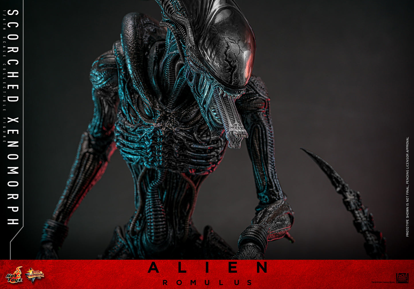 (Preorder) Hot Toys MMS784 Alien: Romulus [Scorched Xenomorph] 1/6th Scale Collectible Figure