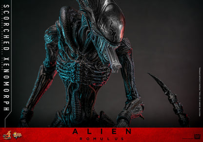 (Preorder) Hot Toys MMS784 Alien: Romulus [Scorched Xenomorph] 1/6th Scale Collectible Figure