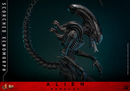 (Preorder) Hot Toys MMS784 Alien: Romulus [Scorched Xenomorph] 1/6th Scale Collectible Figure