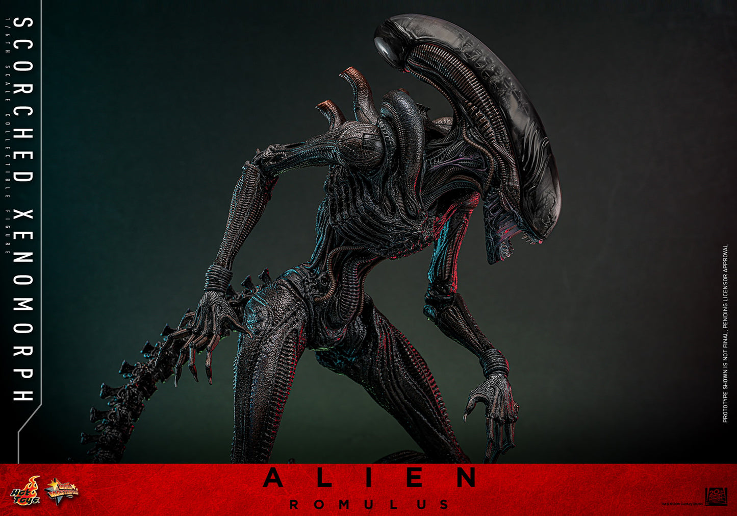 (Preorder) Hot Toys MMS784 Alien: Romulus [Scorched Xenomorph] 1/6th Scale Collectible Figure