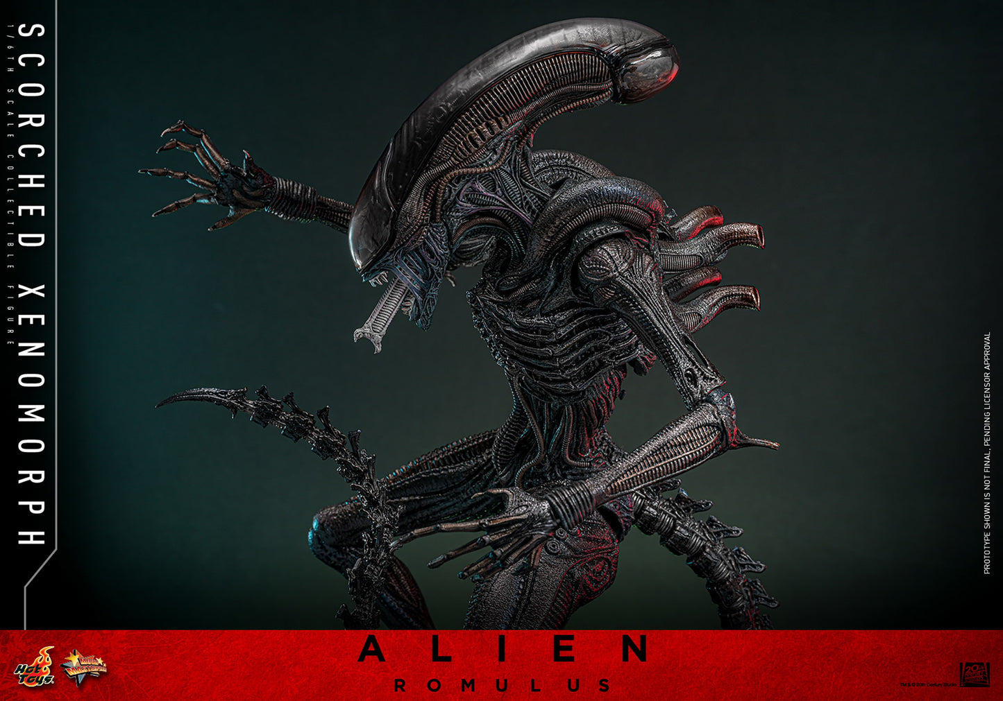 (Preorder) Hot Toys MMS784 Alien: Romulus [Scorched Xenomorph] 1/6th Scale Collectible Figure