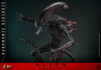 (Preorder) Hot Toys MMS784 Alien: Romulus [Scorched Xenomorph] 1/6th Scale Collectible Figure