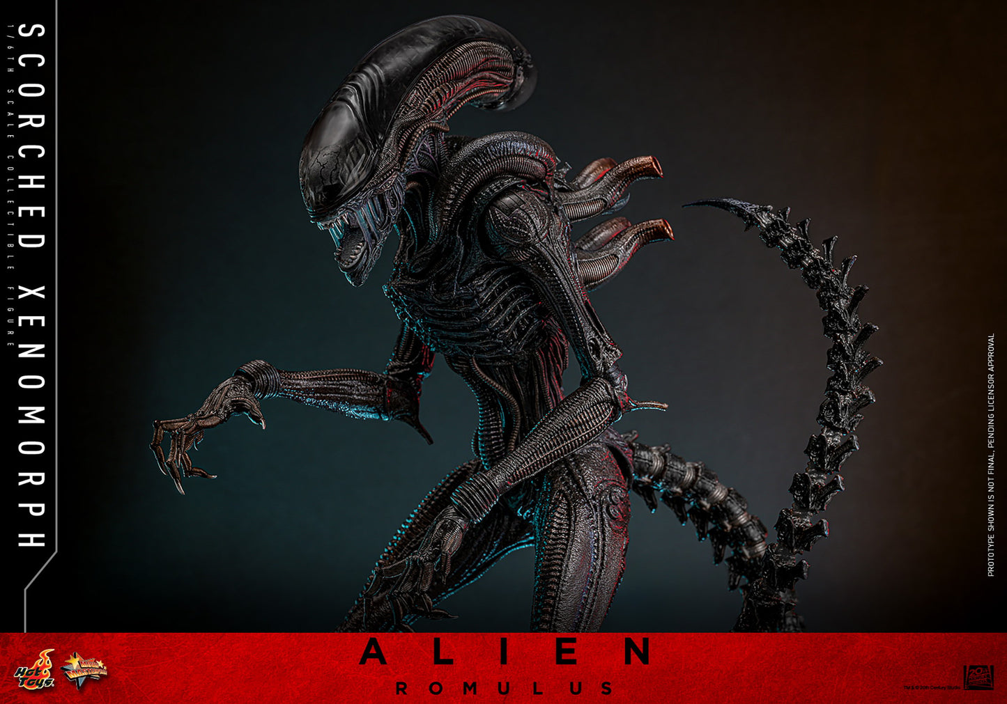 (Preorder) Hot Toys MMS784 Alien: Romulus [Scorched Xenomorph] 1/6th Scale Collectible Figure