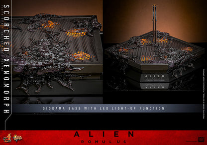 (Preorder) Hot Toys MMS784 Alien: Romulus [Scorched Xenomorph] 1/6th Scale Collectible Figure