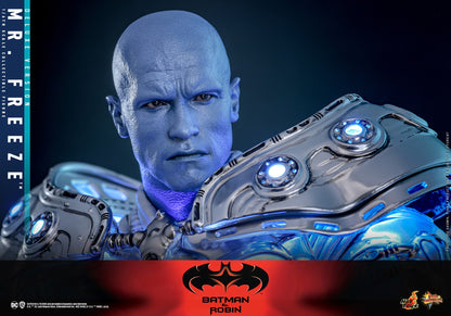 (Preorder) Hot Toys MMS800DX Batman & Robin [Mr. Freeze] (Deluxe Version) 1/6 Scale Collectible Figure