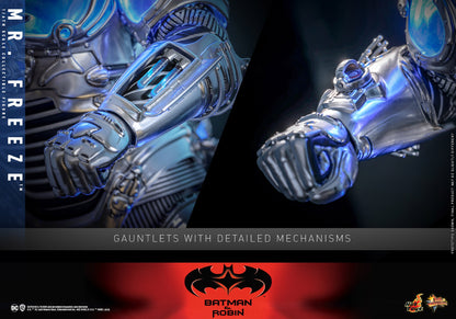 (Preorder) Hot Toys MMS799 Batman & Robin [Mr. Freeze] (Regular Version) 1/6 Scale Collectible Figure