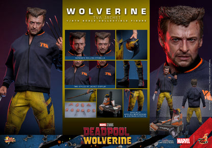 (Preorder) Hot Toys MMS756 Marvel Deadpool and Wolverine [Wolverine] (Jacket Version) 1/6 Scale Collectible Figure