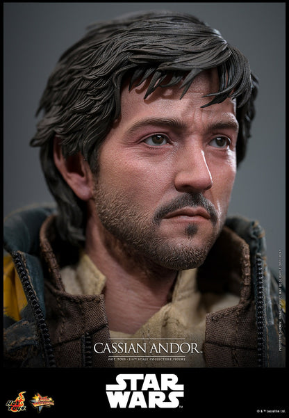 (Preorder) Hot Toys MMS802 Rogue One: A Star Wars Story [Cassian Andor] 1/6 Scale Collectible Figure