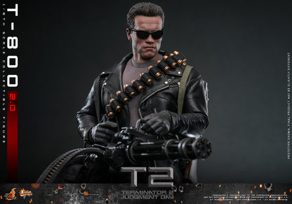 (Preorder) Hot Toys MMS795 Terminator 2: Judgment Day [T-800 (2.0)] 1/6 Scale Collectible Figure