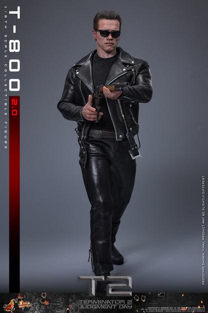 (Preorder) Hot Toys MMS795 Terminator 2: Judgment Day [T-800 (2.0)] 1/6 Scale Collectible Figure