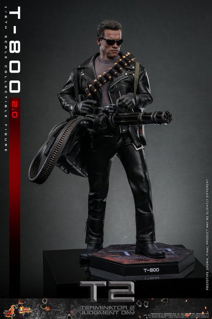 (Preorder) Hot Toys MMS795 Terminator 2: Judgment Day [T-800 (2.0)] 1/6 Scale Collectible Figure