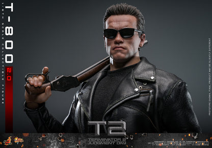 (Preorder) Hot Toys MMS795 Terminator 2: Judgment Day [T-800 (2.0)] 1/6 Scale Collectible Figure