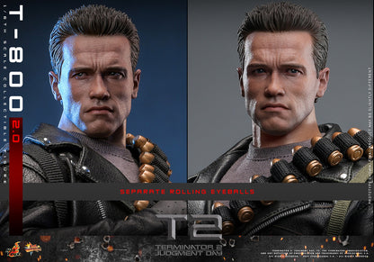 (Preorder) Hot Toys MMS795 Terminator 2: Judgment Day [T-800 (2.0)] 1/6 Scale Collectible Figure