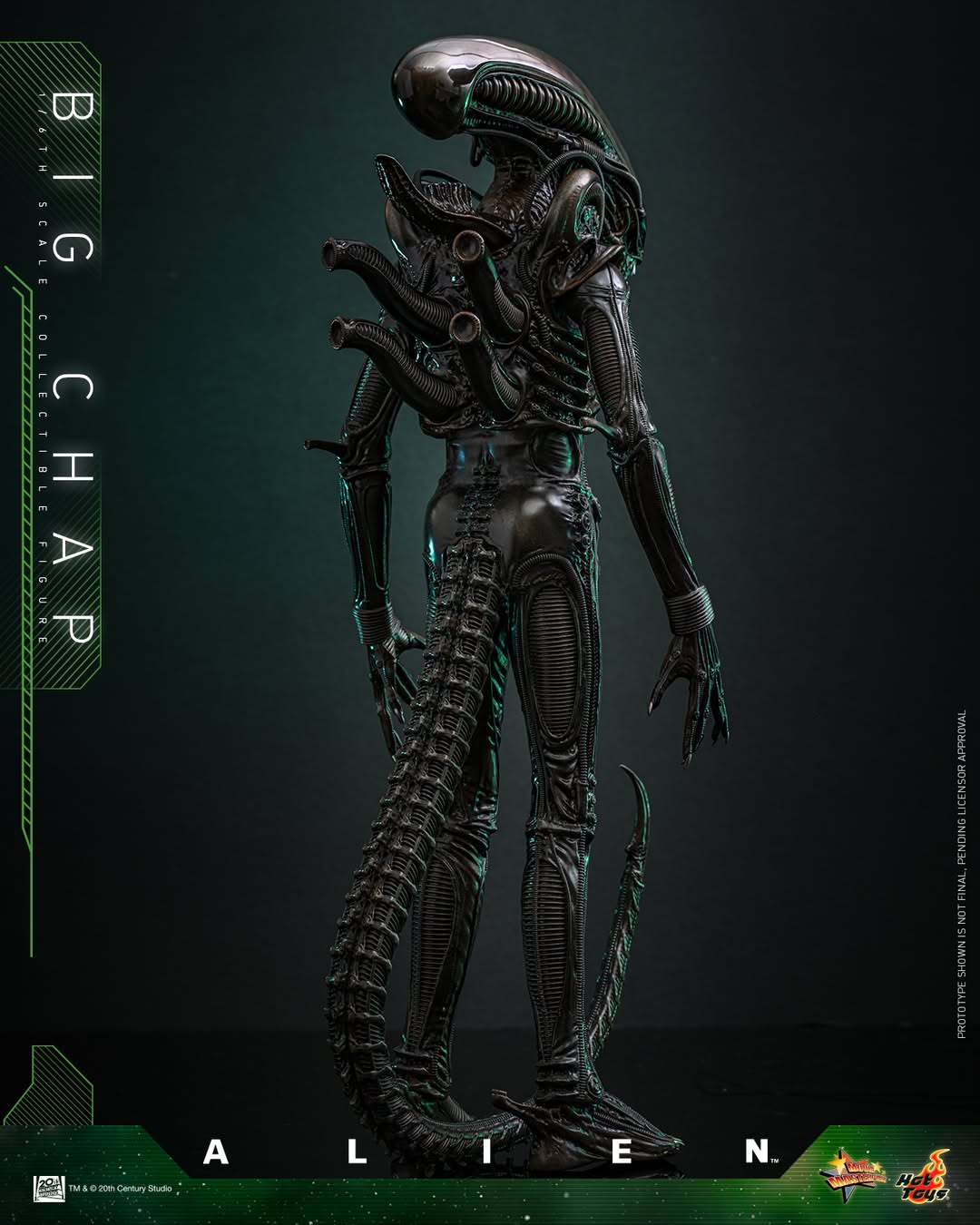 (Preorder) Hot Toys MMS826B Alien [Big Chap] 1/6th scale Collectible Figure