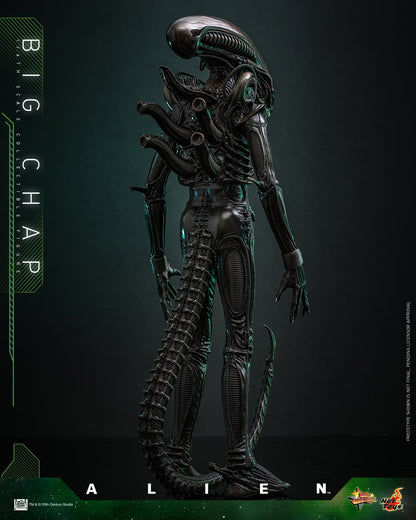 (Preorder) Hot Toys MMS826B Alien [Big Chap] 1/6th scale Collectible Figure