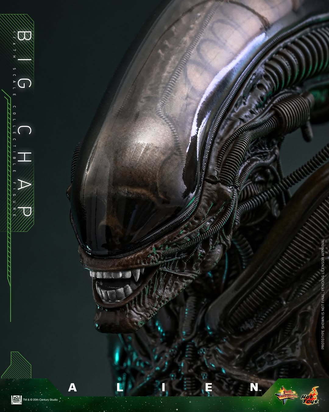 (Preorder) Hot Toys MMS826B Alien [Big Chap] 1/6th scale Collectible Figure