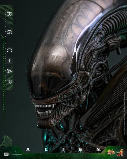 (Preorder) Hot Toys MMS826B Alien [Big Chap] 1/6th scale Collectible Figure