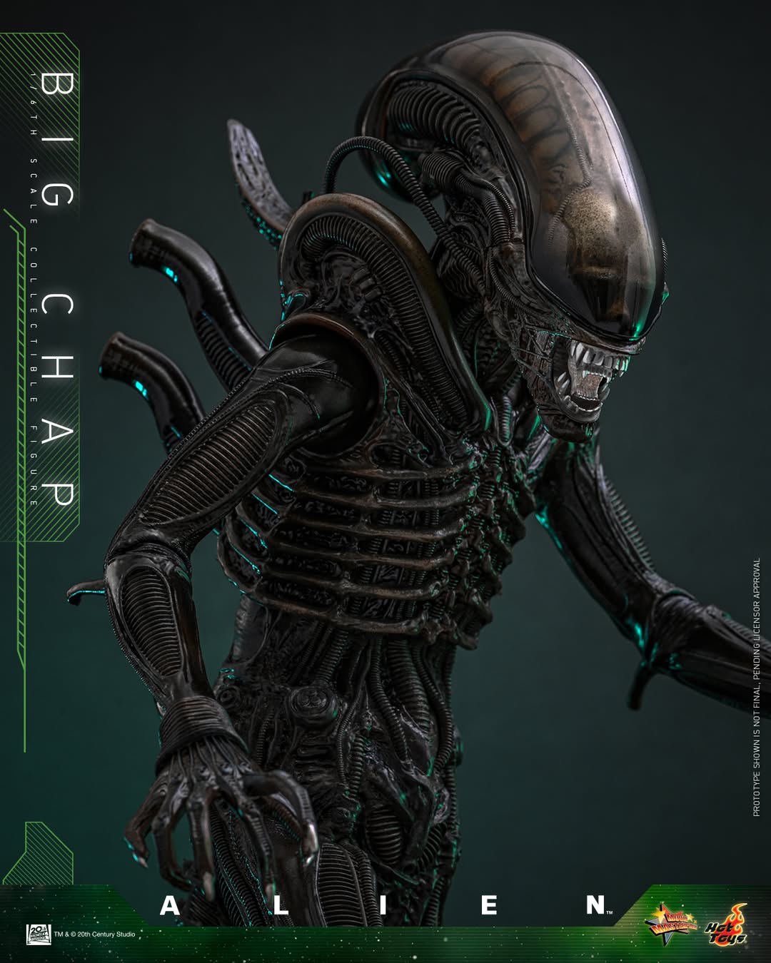 (Preorder) Hot Toys MMS826B Alien [Big Chap] 1/6th scale Collectible Figure