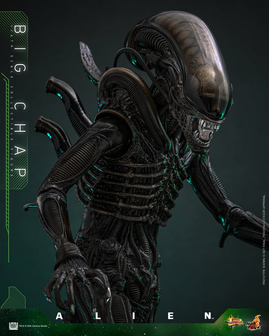 (Preorder) Hot Toys MMS826B Alien [Big Chap] 1/6th scale Collectible Figure