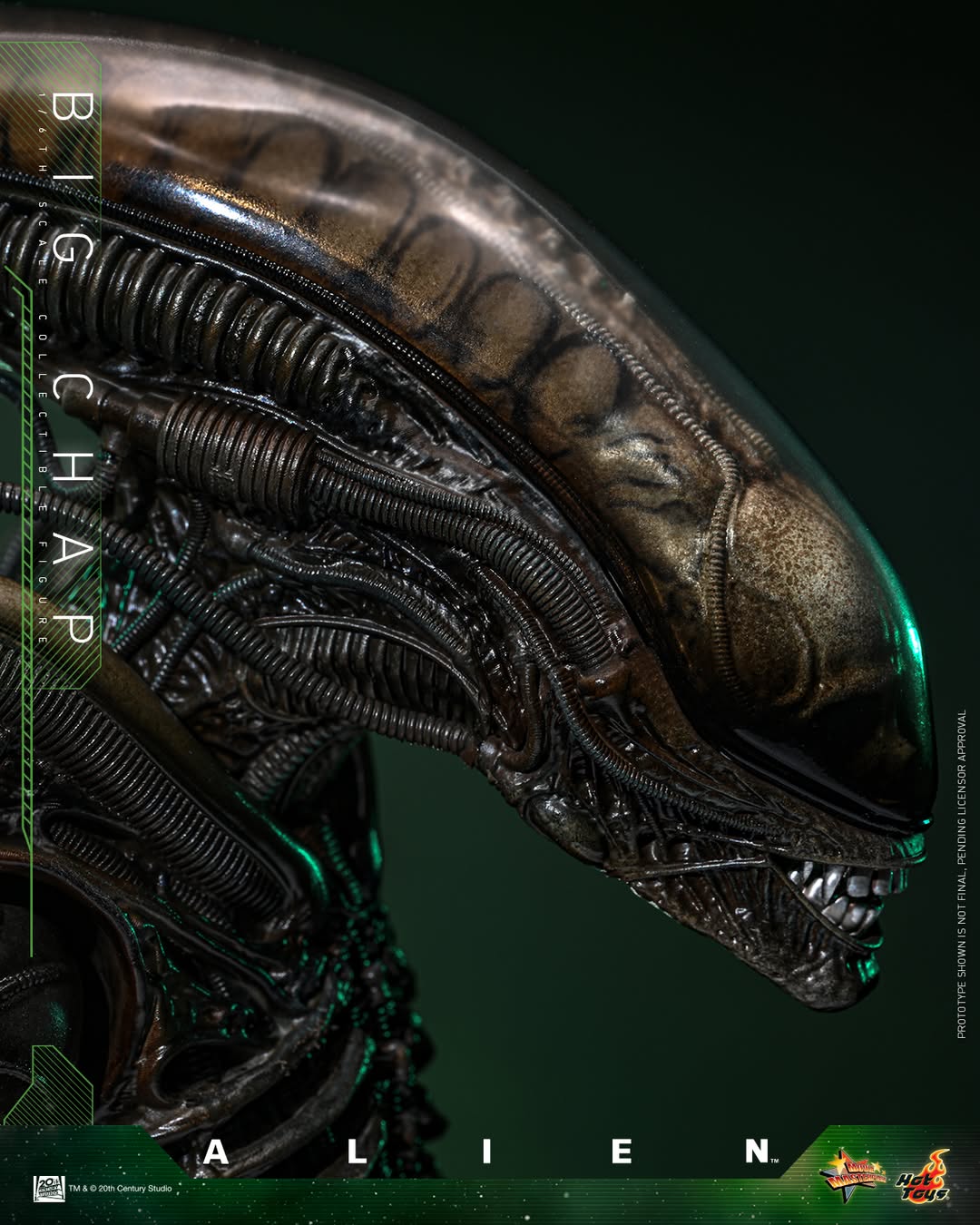 (Preorder) Hot Toys MMS826B Alien [Big Chap] 1/6th scale Collectible Figure
