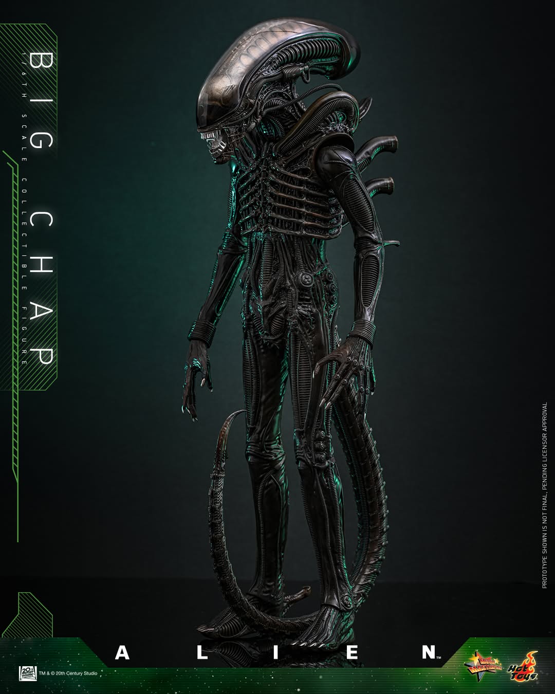 (Preorder) Hot Toys MMS826B Alien [Big Chap] 1/6th scale Collectible Figure