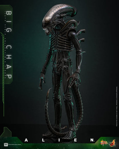 (Preorder) Hot Toys MMS826B Alien [Big Chap] 1/6th scale Collectible Figure