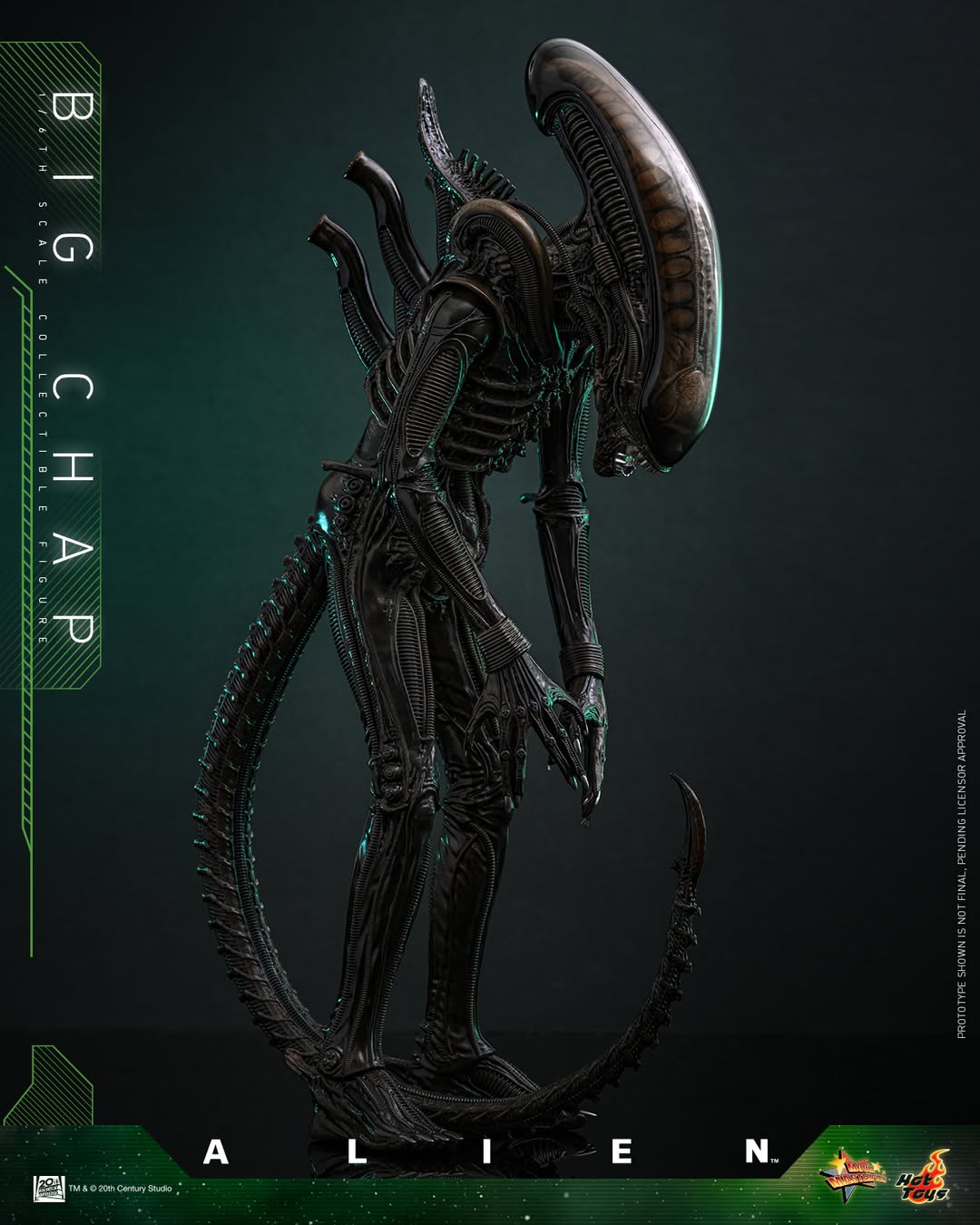 (Preorder) Hot Toys MMS826B Alien [Big Chap] 1/6th scale Collectible Figure