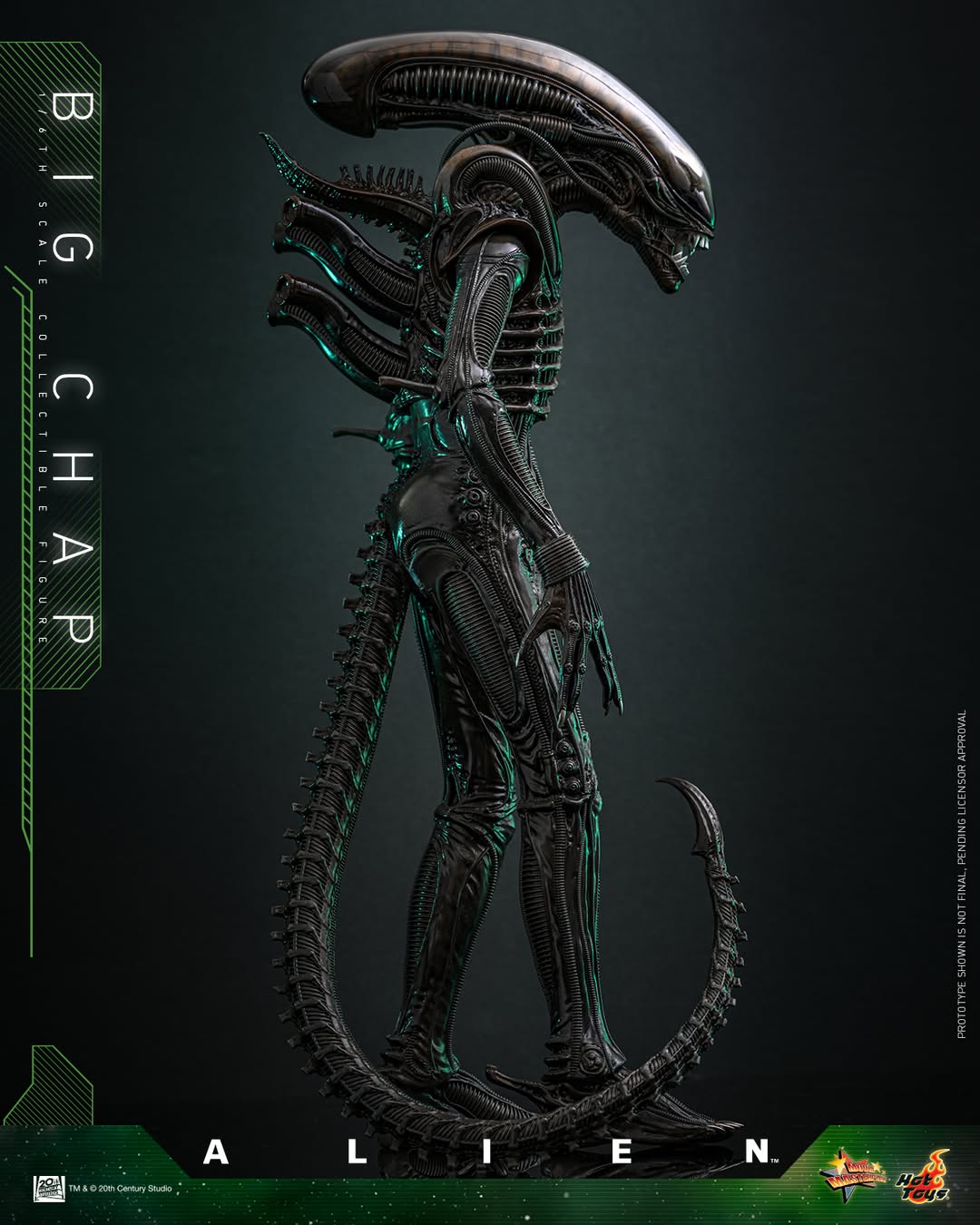 (Preorder) Hot Toys MMS826B Alien [Big Chap] 1/6th scale Collectible Figure