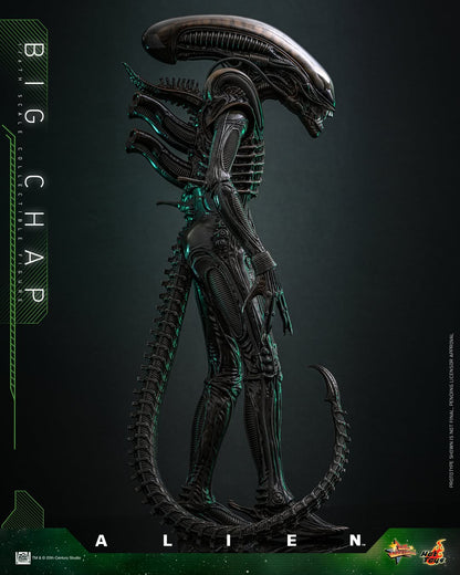 (Preorder) Hot Toys MMS826B Alien [Big Chap] 1/6th scale Collectible Figure
