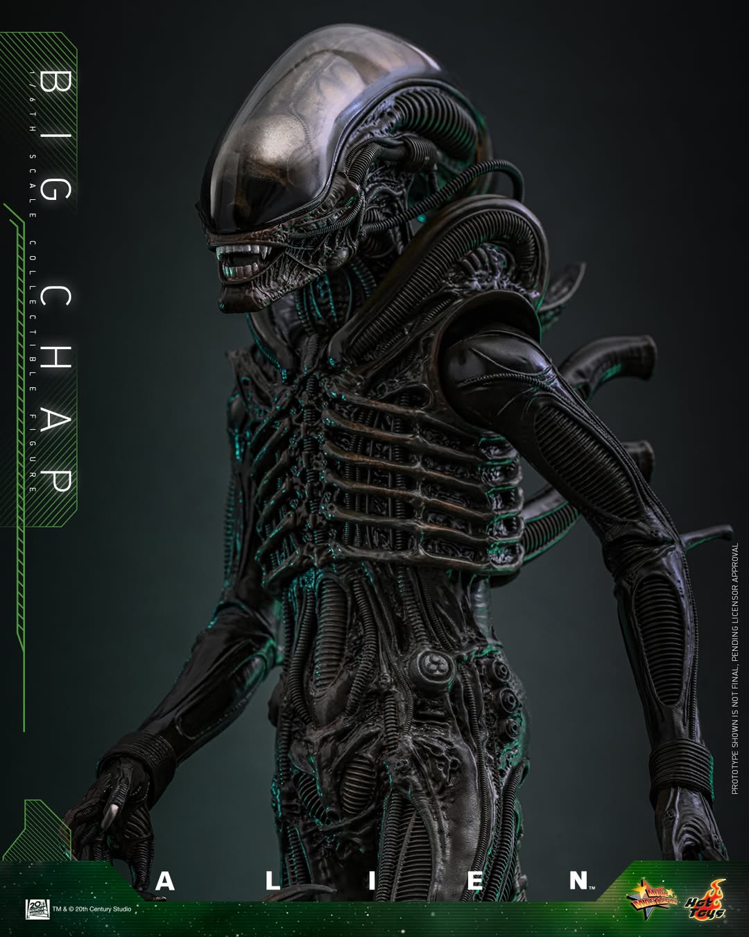 (Preorder) Hot Toys MMS826B Alien [Big Chap] 1/6th scale Collectible Figure