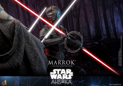 Hot Toys TMS117 Star Wars [Ahsoka Marrok] 1/6 Scale Collectible Figure