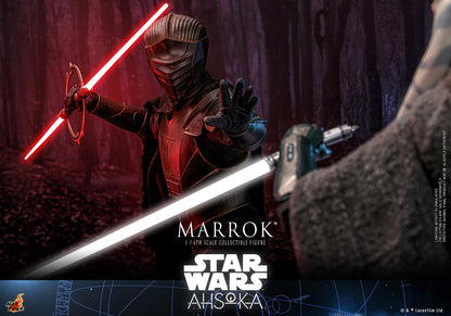 Hot Toys TMS117 Star Wars [Ahsoka Marrok] 1/6 Scale Collectible Figure