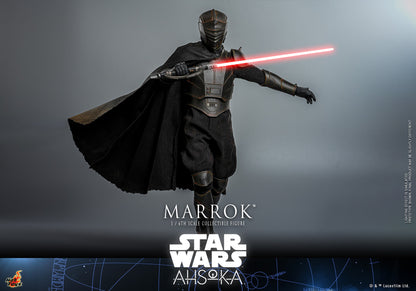 Hot Toys TMS117 Star Wars [Ahsoka Marrok] 1/6 Scale Collectible Figure