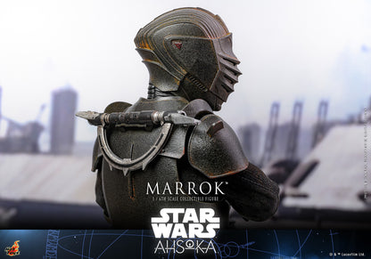 Hot Toys TMS117 Star Wars [Ahsoka Marrok] 1/6 Scale Collectible Figure