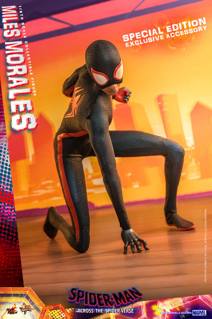 Hot Toys MMS710 Spider-man: Across The Spiderverse [Miles Morales] 1/6 Scale Collectible Figure