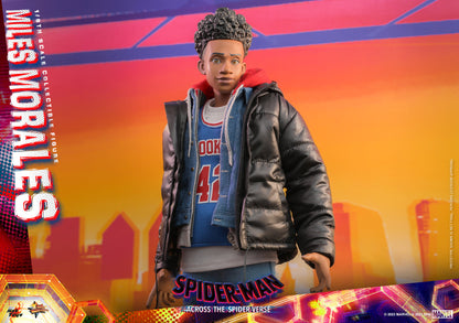 Hot Toys MMS710 Spider-man: Across The Spiderverse [Miles Morales] 1/6 Scale Collectible Figure