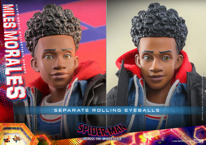Hot Toys MMS710 Spider-man: Across The Spiderverse [Miles Morales] 1/6 Scale Collectible Figure