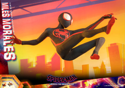 Hot Toys MMS710 Spider-man: Across The Spiderverse [Miles Morales] 1/6 Scale Collectible Figure