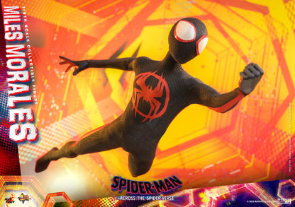 Hot Toys MMS710 Spider-man: Across The Spiderverse [Miles Morales] 1/6 Scale Collectible Figure