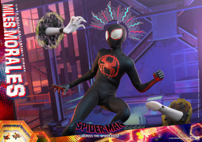 Hot Toys MMS710 Spider-man: Across The Spiderverse [Miles Morales] 1/6 Scale Collectible Figure