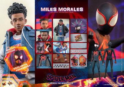 Hot Toys MMS710 Spider-man: Across The Spiderverse [Miles Morales] 1/6 Scale Collectible Figure