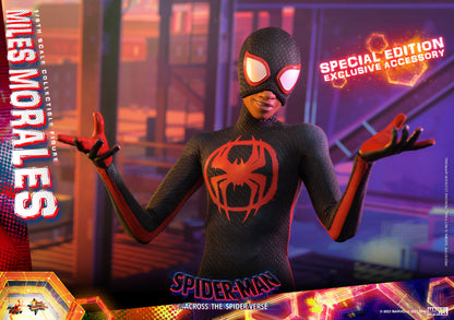 Hot Toys MMS710 Spider-man: Across The Spiderverse [Miles Morales] 1/6 Scale Collectible Figure