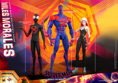 Hot Toys MMS710 Spider-man: Across The Spiderverse [Miles Morales] 1/6 Scale Collectible Figure